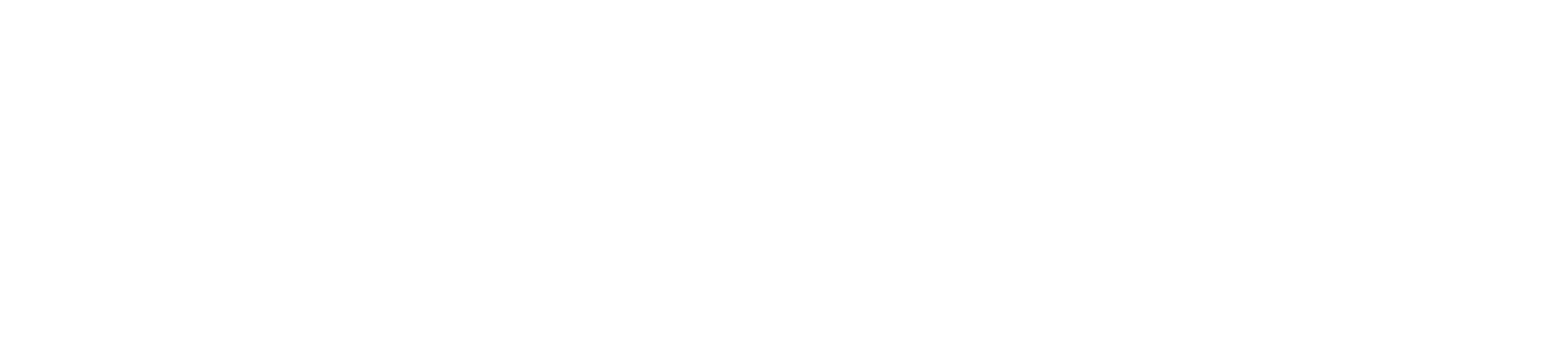 Santino logo