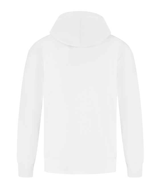 Santino Hooded Sweater Lucas
