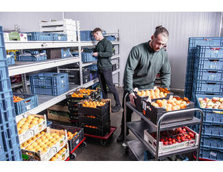 Santino Polosweater Robin